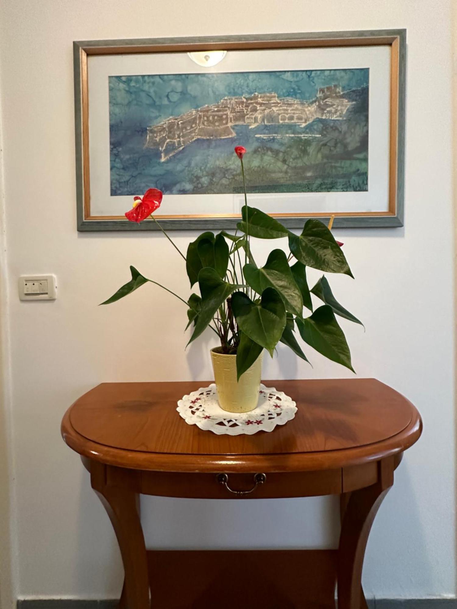 Apartment Golden Creek Magic View 杜布罗夫尼克 外观 照片